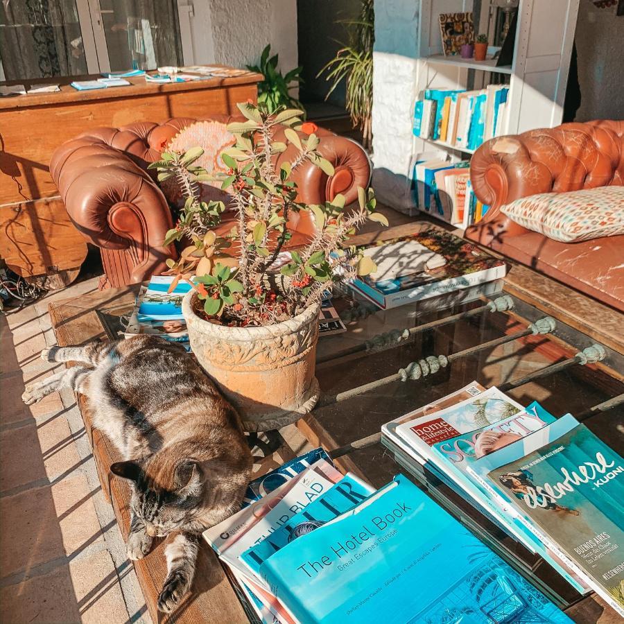 Jardines De La Reina Boutique Bed & Breakfast Marbella Exteriör bild