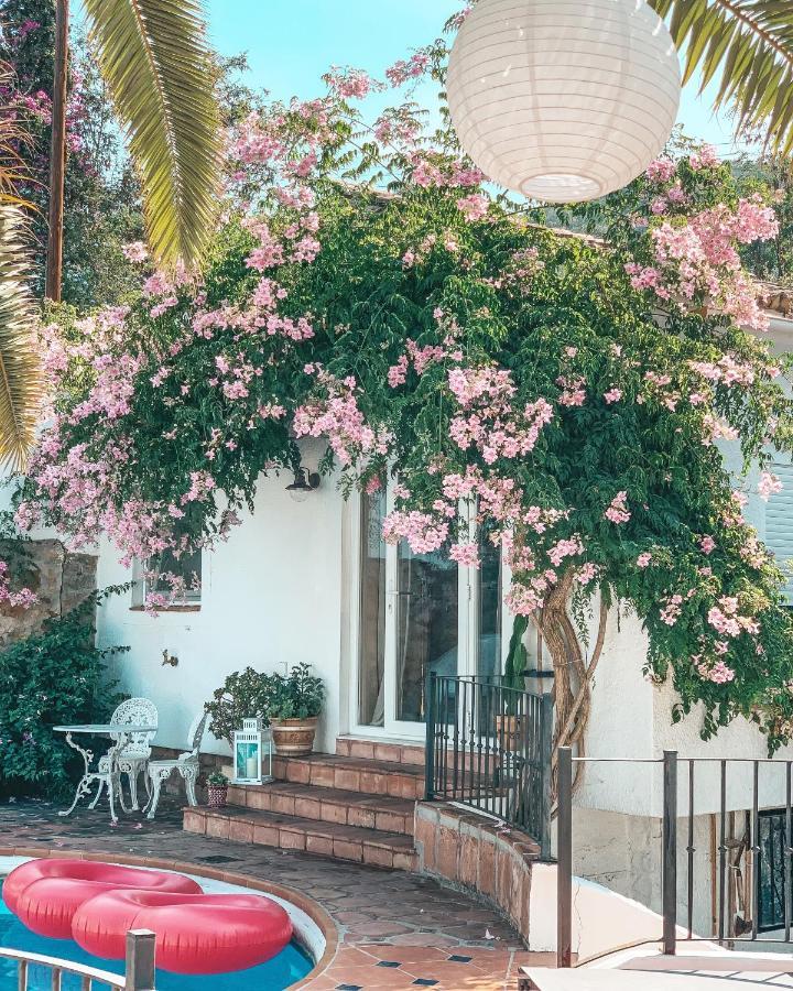 Jardines De La Reina Boutique Bed & Breakfast Marbella Exteriör bild